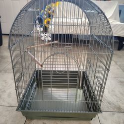 Bird Cage 