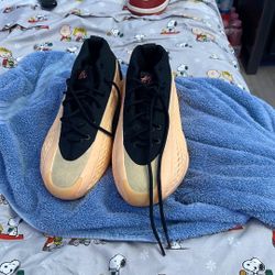 Adidas and Nike shoes