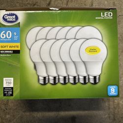 60 watt LED Light Bulbs