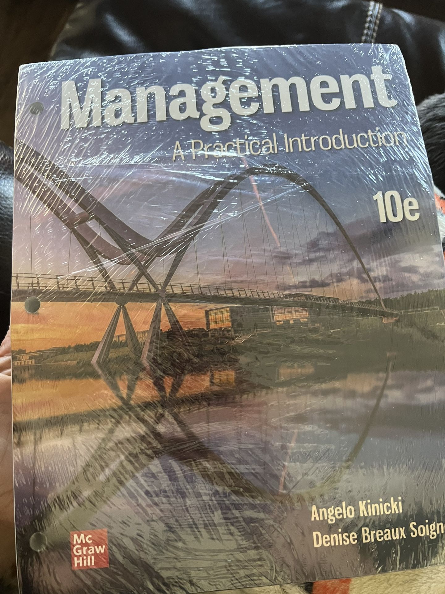 New Management A Practical Introduction 10e -with online access code