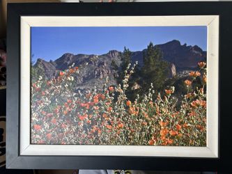 Picture frame