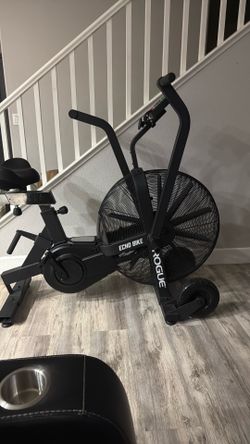 Rogue Echo bike