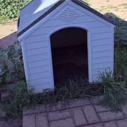 Large Dog House