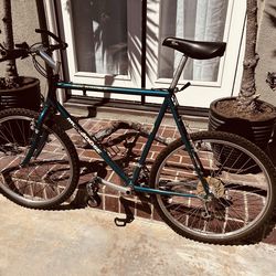 Vintage Mongoose mtn bike
