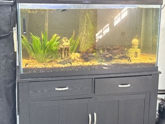 Fish tank 90 gal ,Include everything you see.