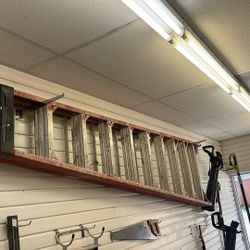 Werner Ladder 10ft