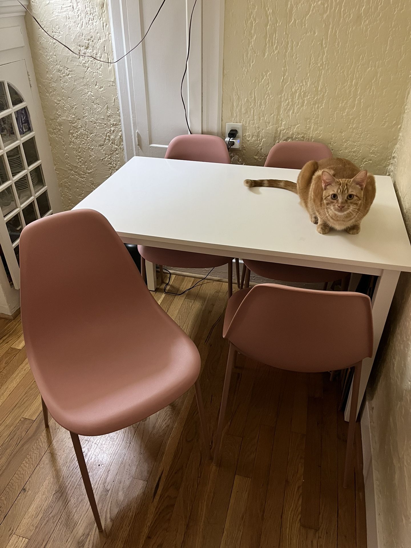 Poly & Bark Isla Dining Chair Blush Pink