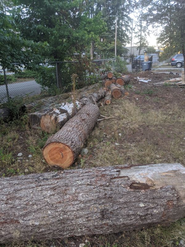 Firewood $20-40 per log for Sale in Tacoma, WA - OfferUp