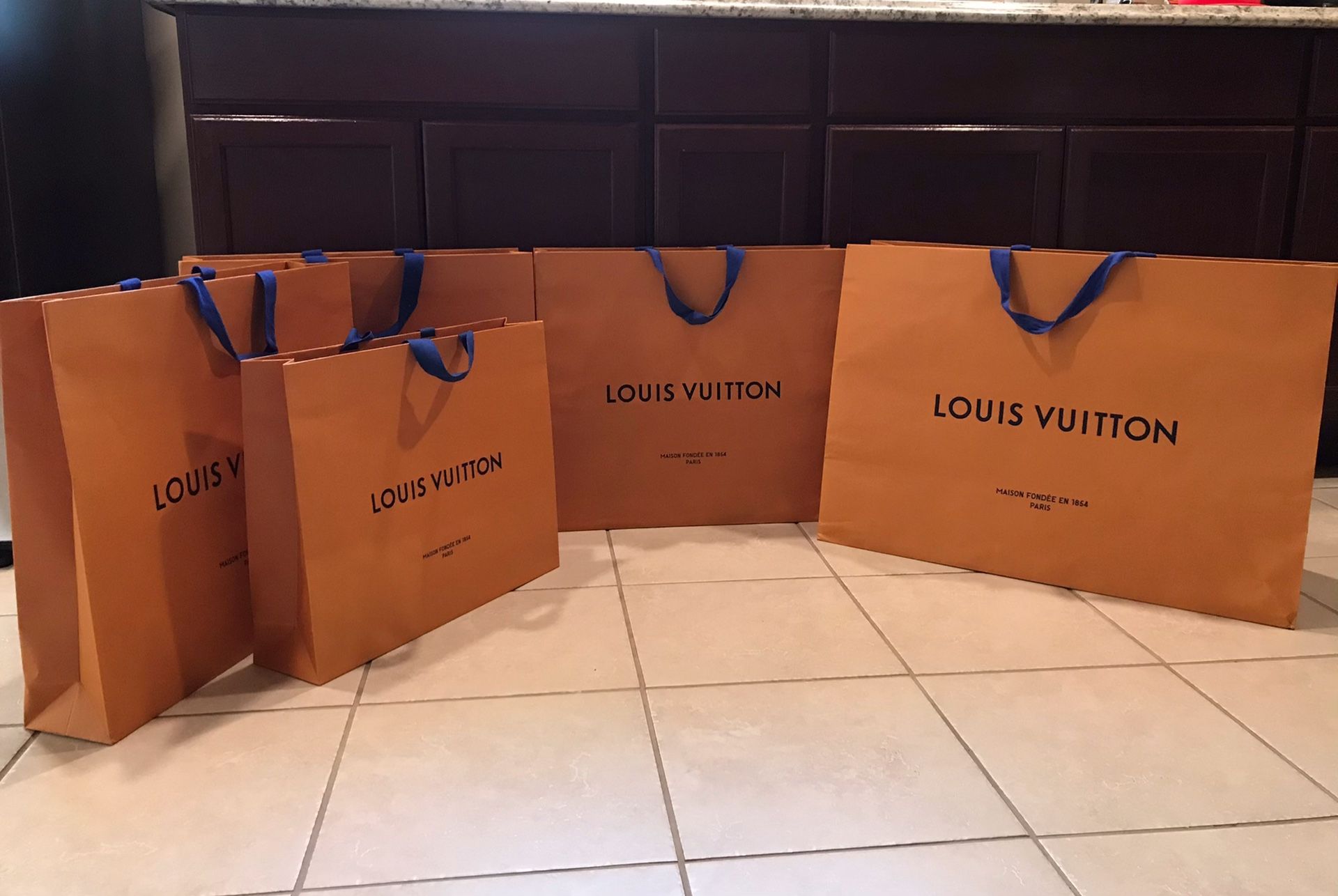 Louis Vuitton bags authentic