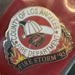 1993 LA County Firestorm Pin