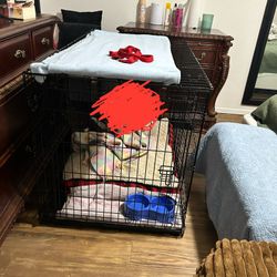 XL Dog kennel 