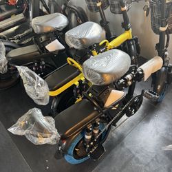 E bike