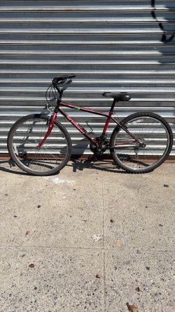 Speed bike