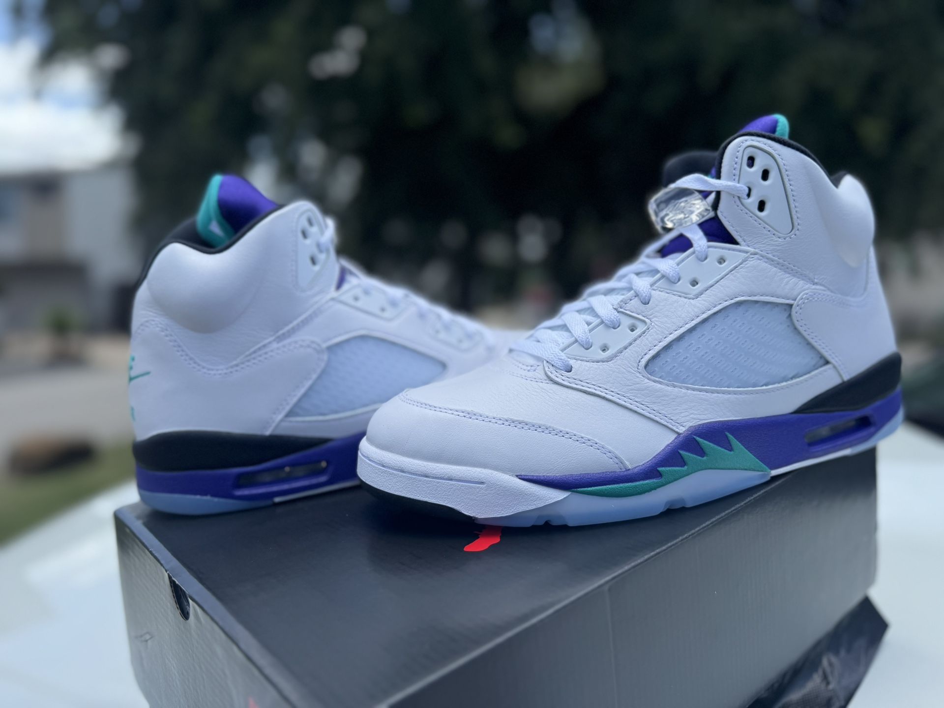 Air Jordan 5 Retro “Grape” 2025 Multiple Sizes