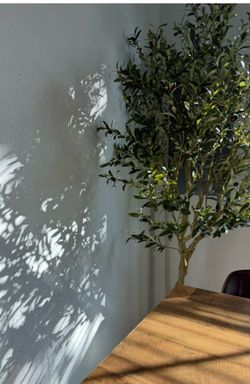 Fake 7 foot olive tree