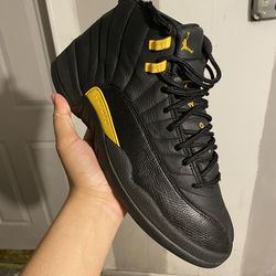 Jordan 12 size 10