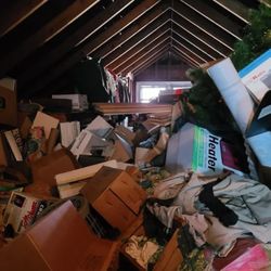 Attic Cleaning