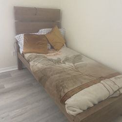 Single Bed  W Mattress 