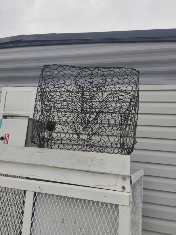 Pin Fish Trap $20