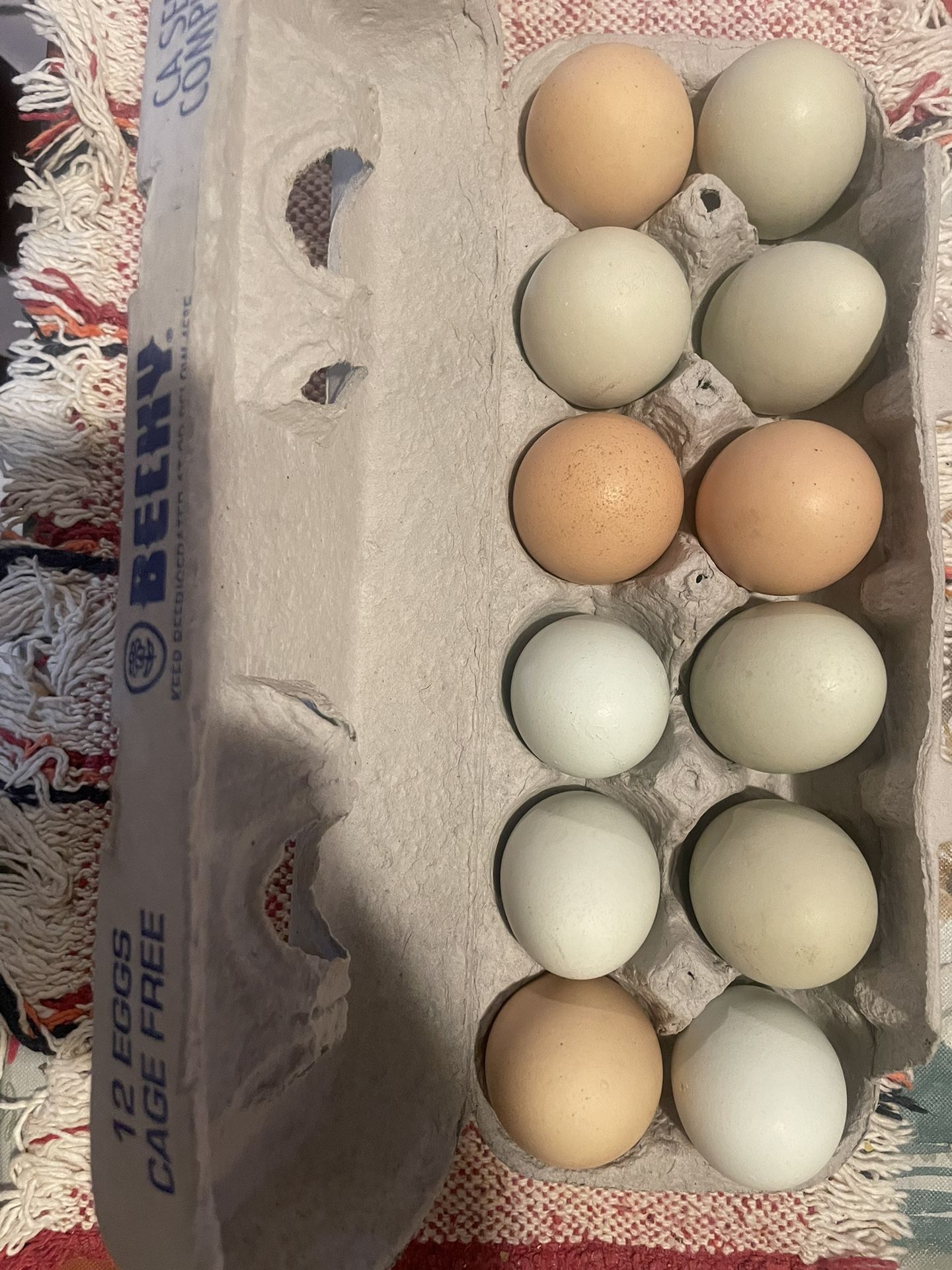 Fresh Eggs