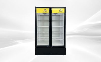 NSF 39 ins Commercial Merchandising door cooler LC-600A