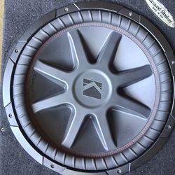 15" Kicker Works Good no rips or holes