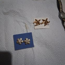 Earrings
