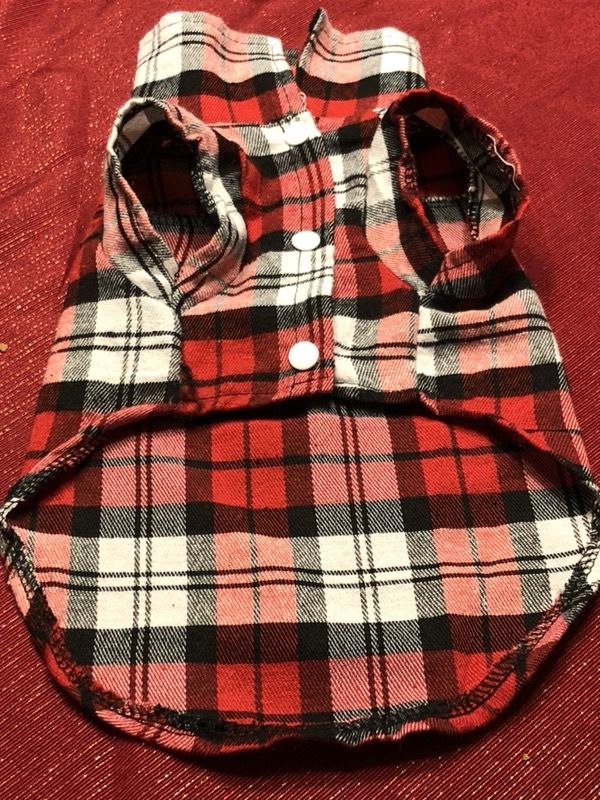 Modern clothes for small dogs. Extra small size