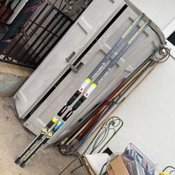 Fischer Nordic Cruising Skis