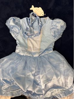 Cinderella Dress