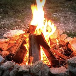 FIREWOOD - Nice Dry Seasoned Firewood Quarter Cords 