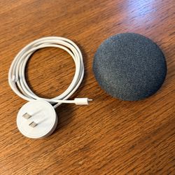 Google Nest /  1st generation Works Great!  