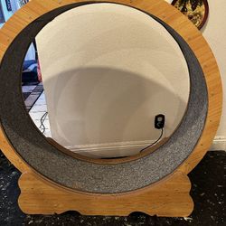 Cat Treadmill 