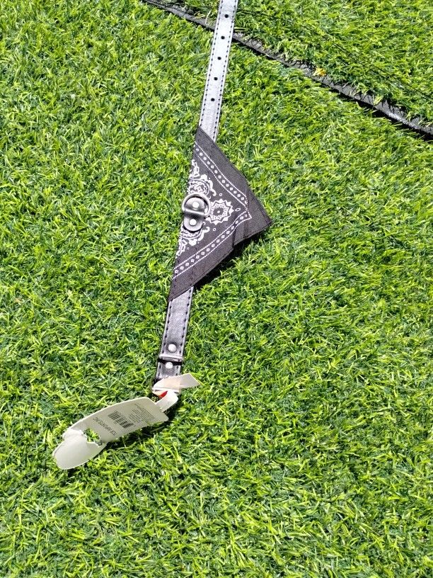 Dog Collar Black Bandana