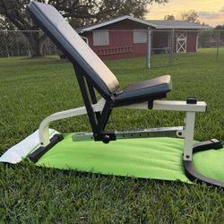 True FID Fully Adjustable Heavy Duty Weight Bench 