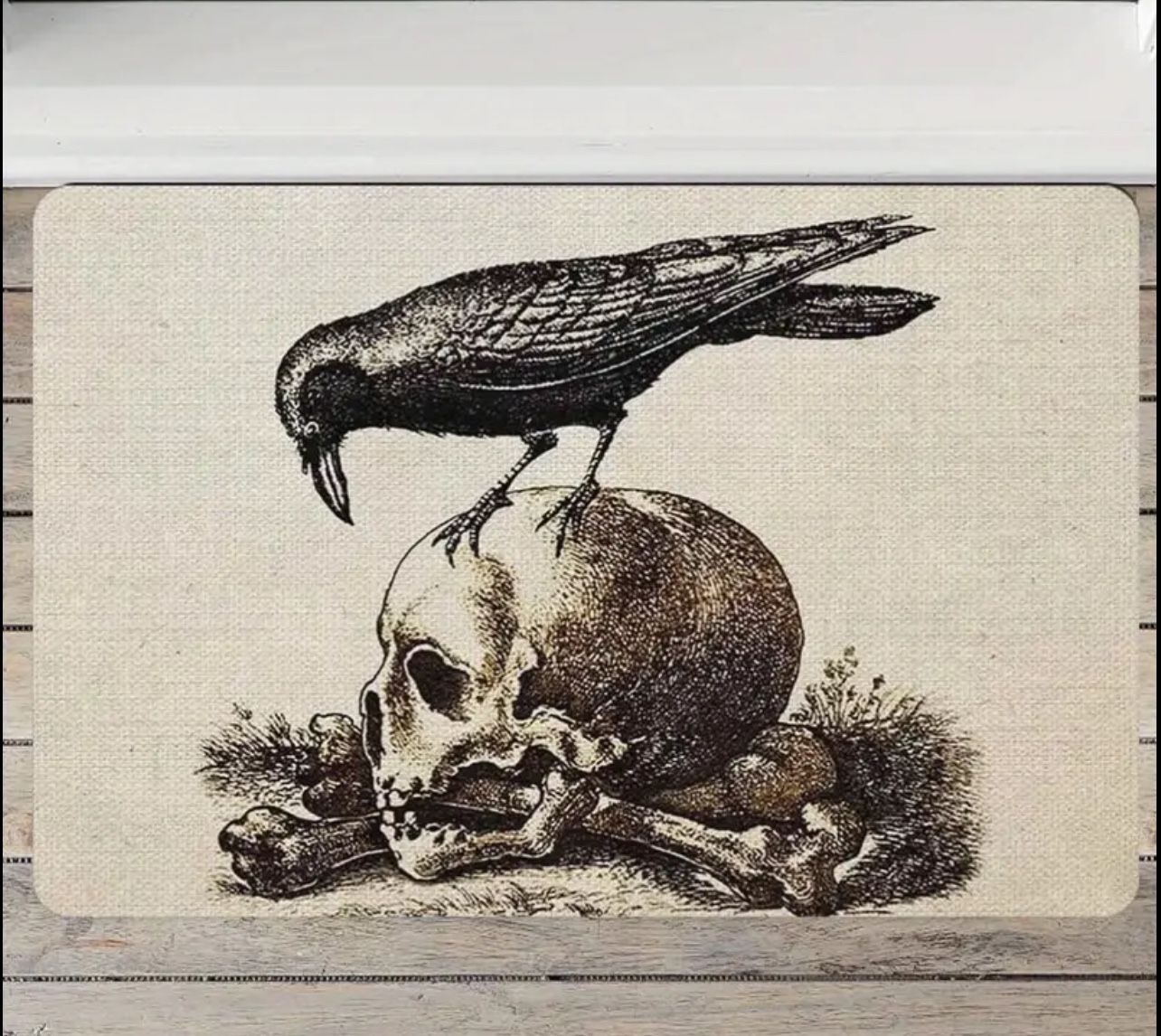 Home Kitchen Crow On A Skull Gothic Macabre Art Decorative for Front Door Dining Room bedroom Bar restaurant living room garden Wall and Kitchen deco