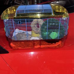 Hamster Cage