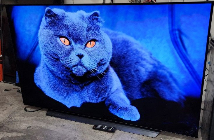 65" OLED 4K HDR Smart TV model 2022 C1