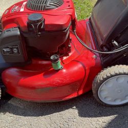 Troy -Bilt Self Propelled 6.25 HP 21 Inch Bagger
