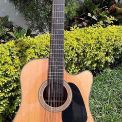 12 String Guitar Takamine G Series