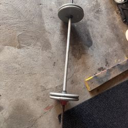 Barbell And Weight Plates 