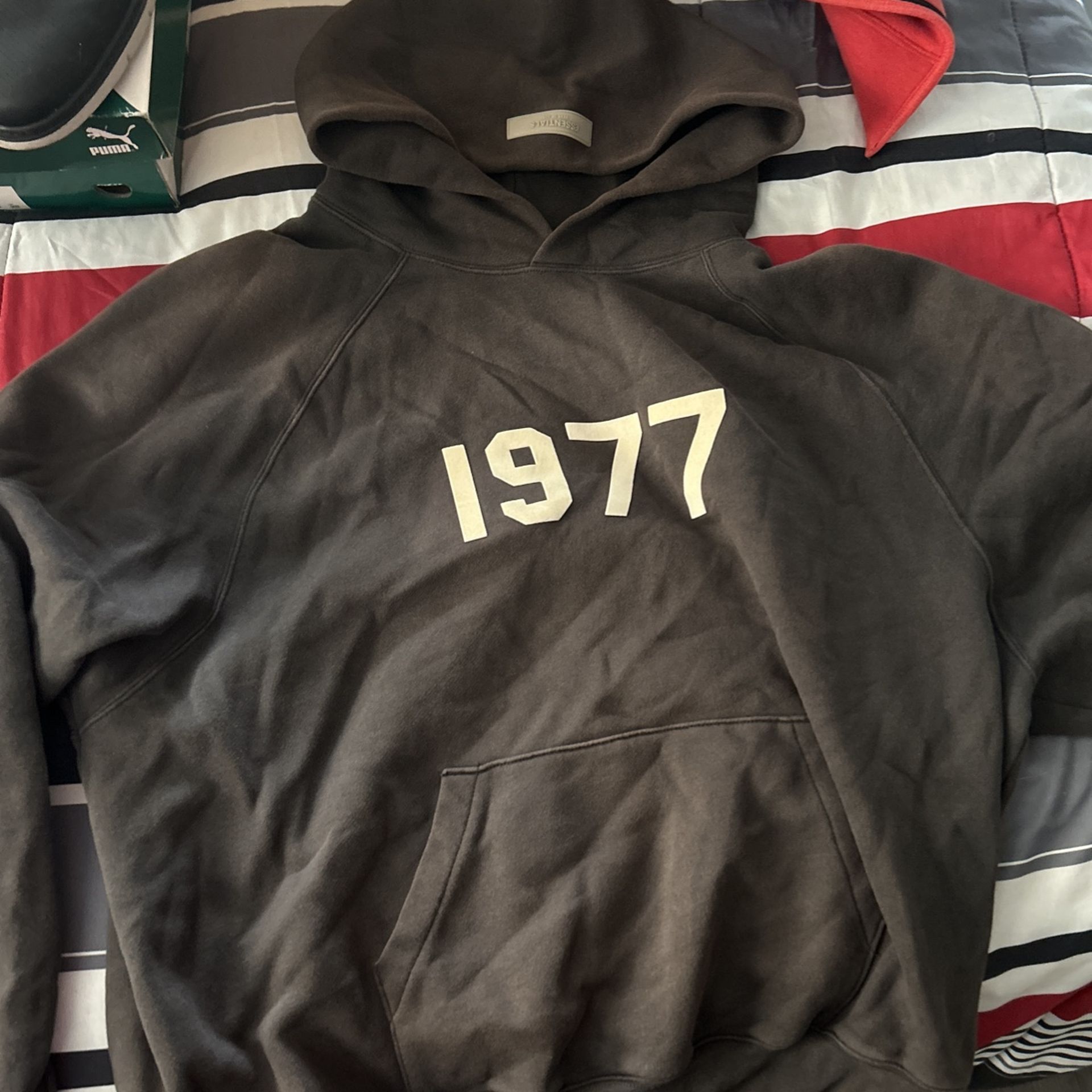 essential Hoodie