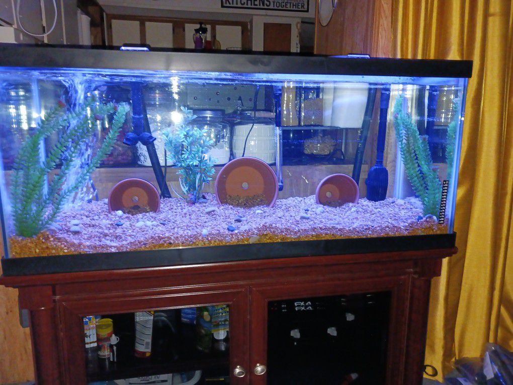 75 Gal. Fish Tank