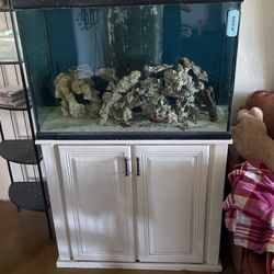 75 Gallon Fish Tank All In One
