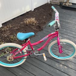 Girls 20 Inch Bicycle 