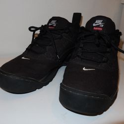 Supreme x Nike SB Darwin
