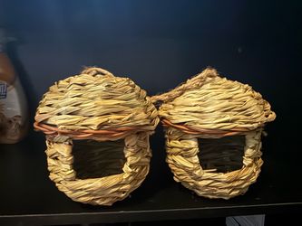 Bird Nest