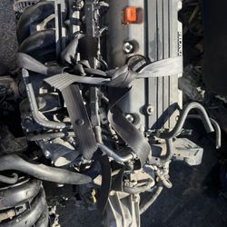 2010 Honda Accord Motor 