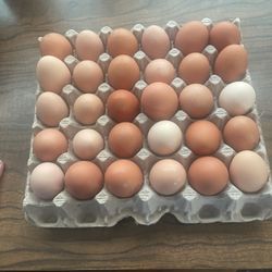 Fresh Nuggets -free Range 