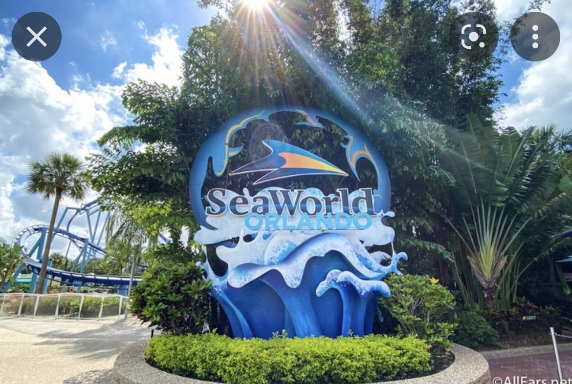 SEAWORLD orlando *HALF OFF TIX*